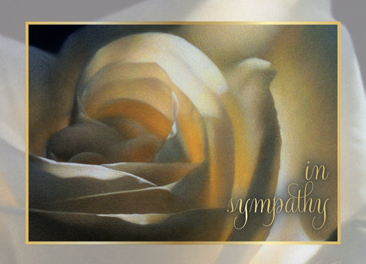 Boxed Sympathy Cards: Roses by Heartland