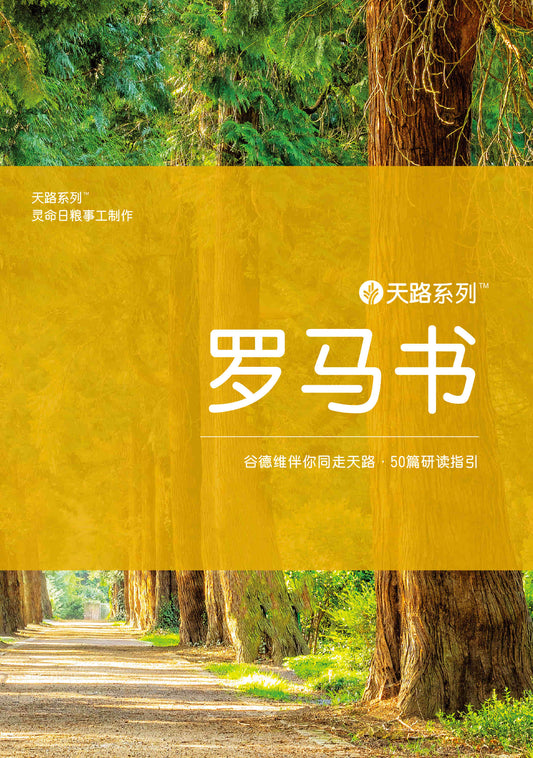 天路系列 - 罗马书 (Journey Through: Romans (Simplified Chinese))